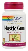 Mastic Gum 500 mg. (45 capsule)