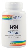 MSM 750 mg. (90 capsule)