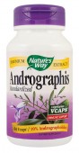 Andrographis SE (60 capsule vegetale)