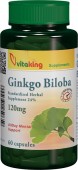 Ginkgo Biloba Forte 120 mg. cu absorbtie indelungata (60 capsule)