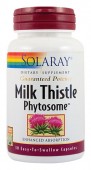 Milk Thistle Phytosome (30 capsule)